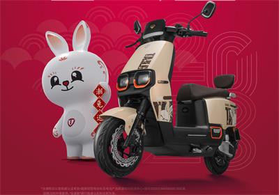 潮兔引爆年貨節 臺鈴熱銷開門紅