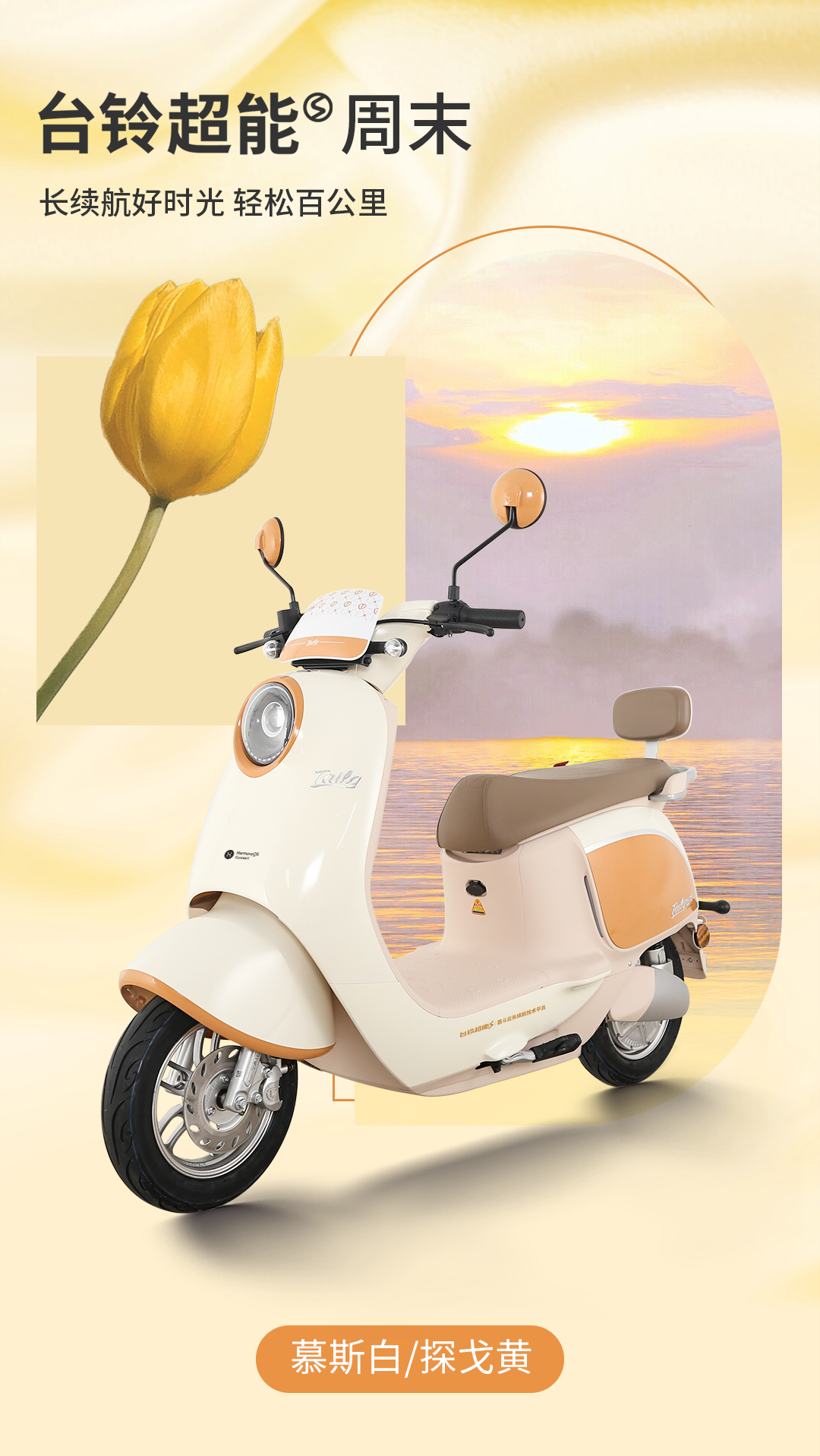 臺鈴長續航電動車